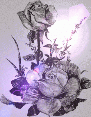 20080928101036-2.gif